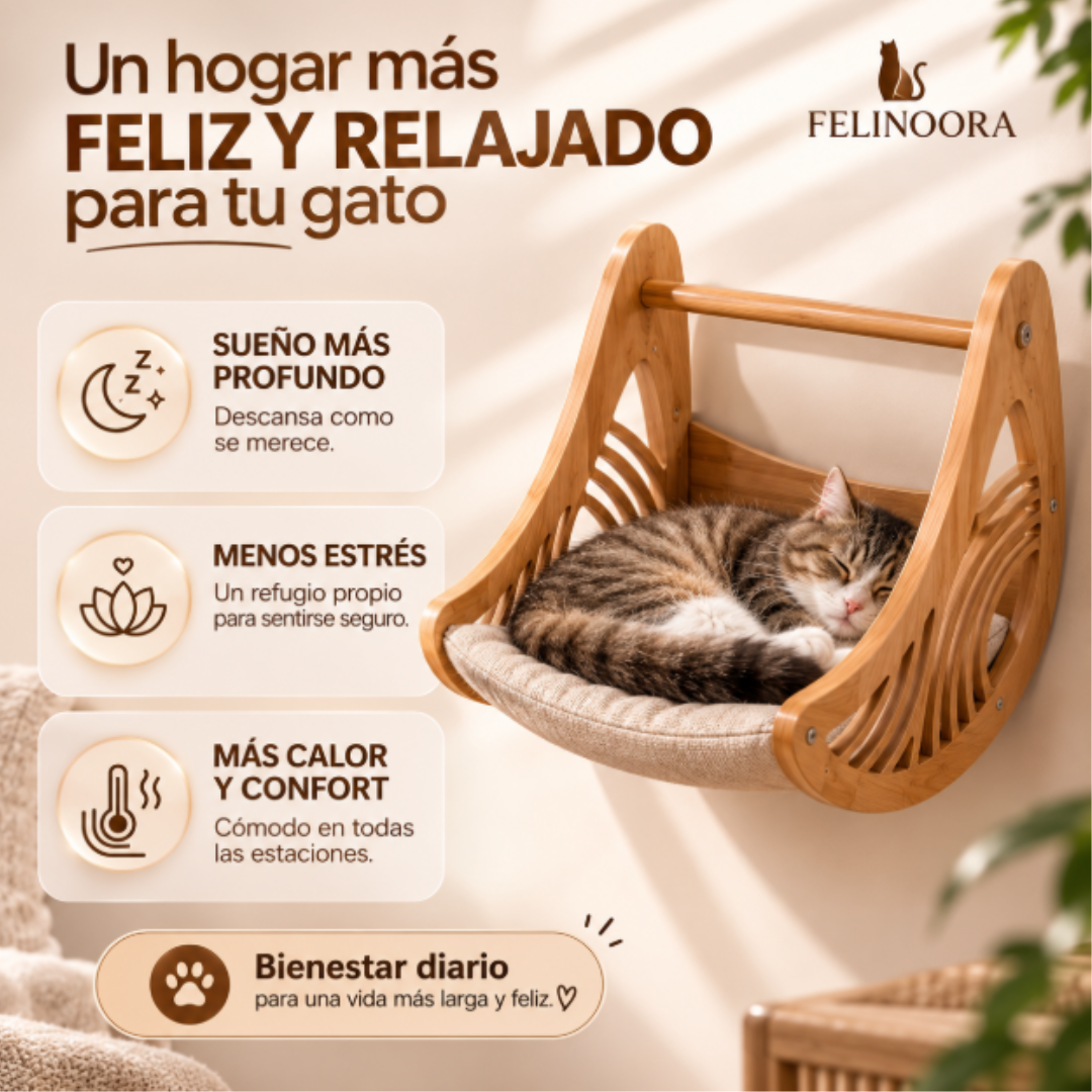 Cama de Gatos Felinoora